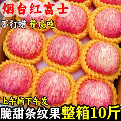 正宗山东烟台红富士苹果水果新鲜应当季整箱栖霞批发冰糖心丑脆甜