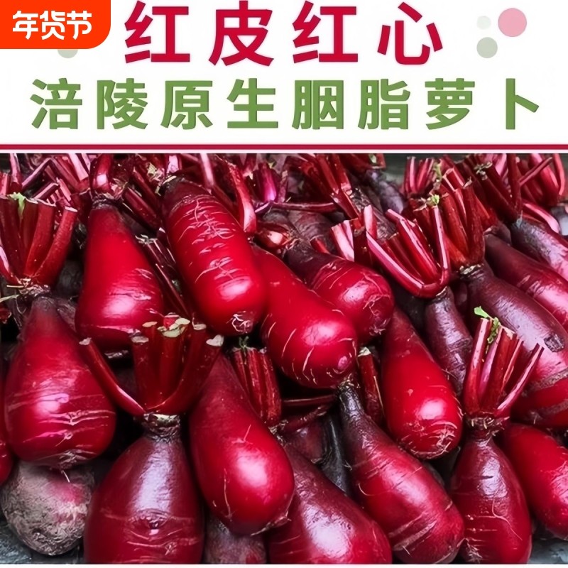 【萝卜已老起步空心介意慎拍】正宗涪陵新鲜红皮红心胭脂萝卜产地