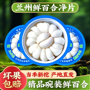 甘肃兰州百合新挖新鲜百合500g新鲜食用生甜白合非干货特产级包邮