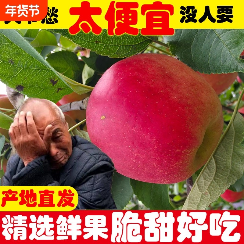 正宗云南昭通红露丑苹果冰糖心当季新鲜水果整件5/8.8斤包邮,水产肉类/新鲜蔬果/熟食,苹果,淘宝优惠券,粉丝福利购,淘宝优惠卷