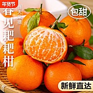 正宗四川眉山春见耙耙柑4.5斤