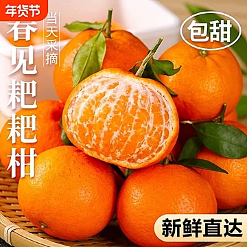 正宗四川眉山春见耙耙柑4.5斤