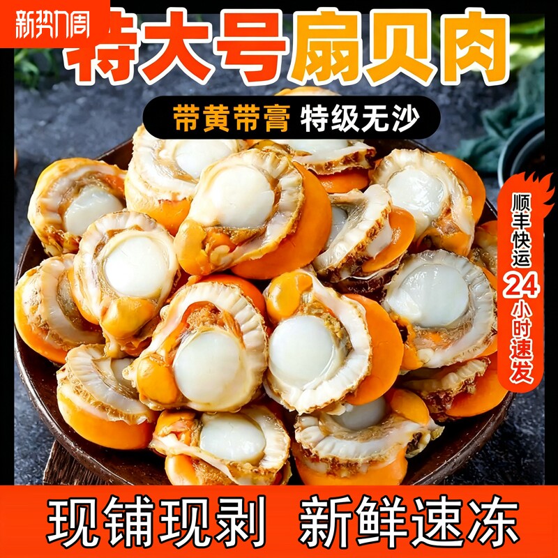 扇贝肉新鲜冷冻特级大号带黄带膏商用海鲜水产红贝批发黄蚬子鲜活