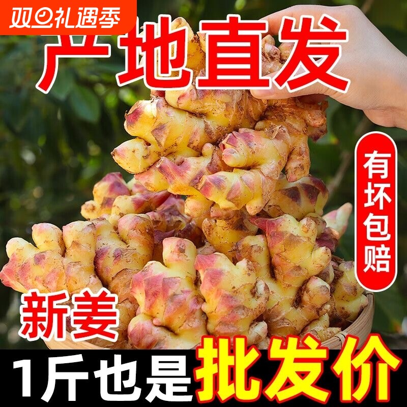 2025正宗云南小黄姜生姜5斤新鲜嫩姜沙姜蔬菜嫩姜仔姜整箱农家