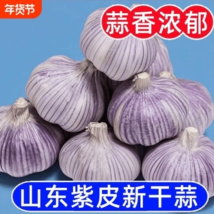 【保质保量】金乡紫皮大蒜新干蒜子新鲜红皮大蒜头优质干蒜便宜