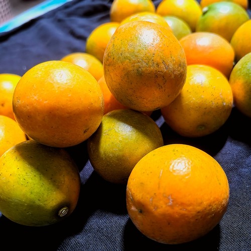 广西融安脆蜜金桔金柑第三代应当季水果鲜果金橘纯甜脆皮金桔顺丰