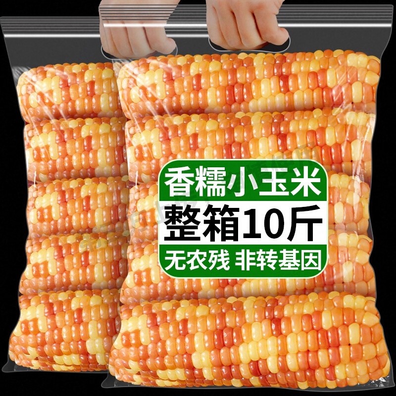 云南西双版纳香糯小玉米新鲜傣萨金谷花糯玉米棒真空装包装袋即食