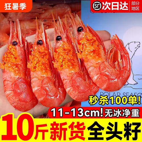 北极熊新货！头籽甜虾！11-13cm