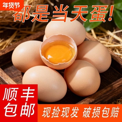 大别山正宗散养土鸡蛋60枚