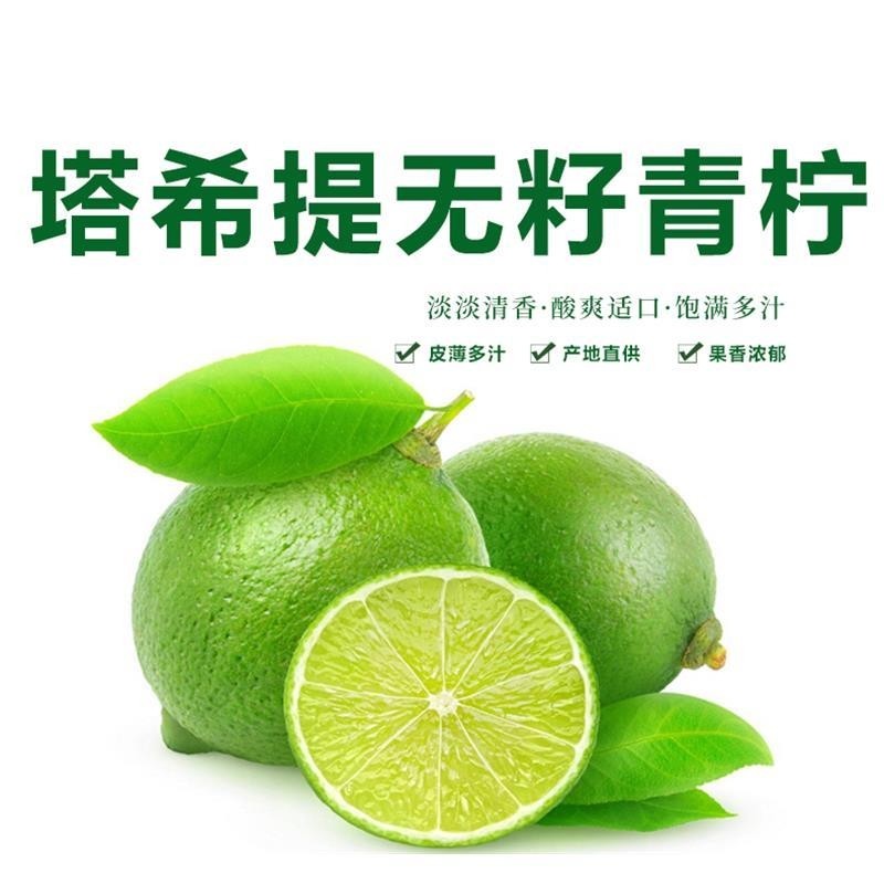 泰国塔希提无籽青柠檬水果薄皮无子香水柠檬小青柠品种整箱包邮,水产肉类/新鲜蔬果/熟食,柠檬,淘宝优惠券,粉丝福利购,淘宝优惠卷