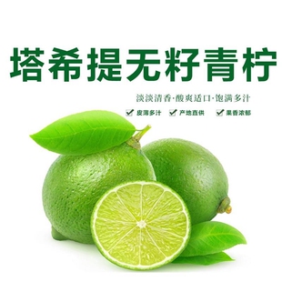 泰国塔希提无籽青柠檬水果薄皮无子香水柠檬小青柠品种整箱包邮