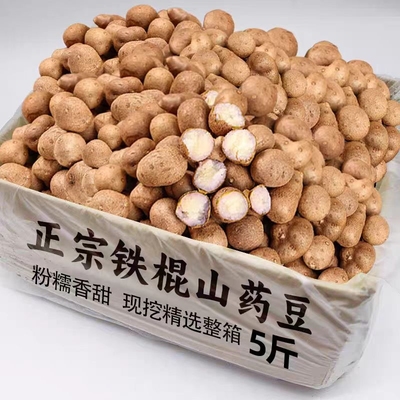 铁棍山药豆新鲜山药豆现摘农家冰糖葫芦用豆山药蛋农家种植产地