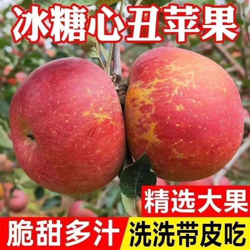现摘脆甜丑苹果正宗高山红富士新鲜苹果果冰糖心批发当季果园
