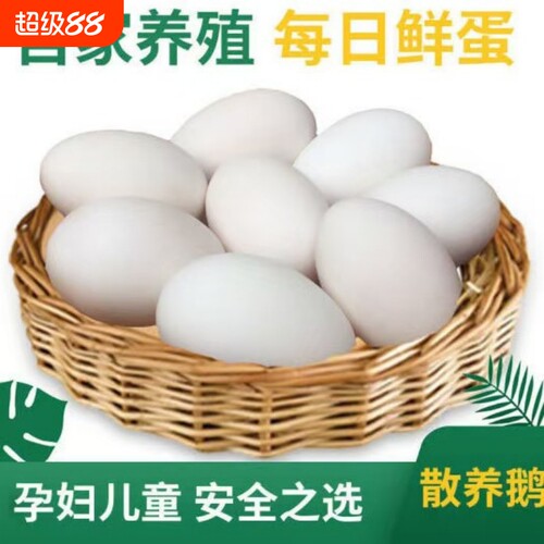 新鲜鹅蛋农家散养孕妇宝宝土鹅蛋新鲜批发大鹅蛋现捡现发现货速发