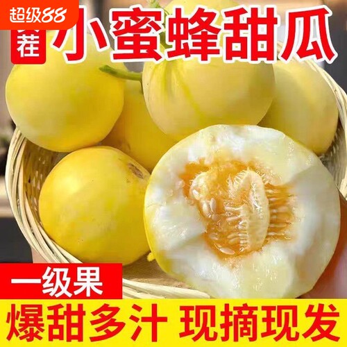 星甜小蜜蜂甜瓜蜜罐香瓜