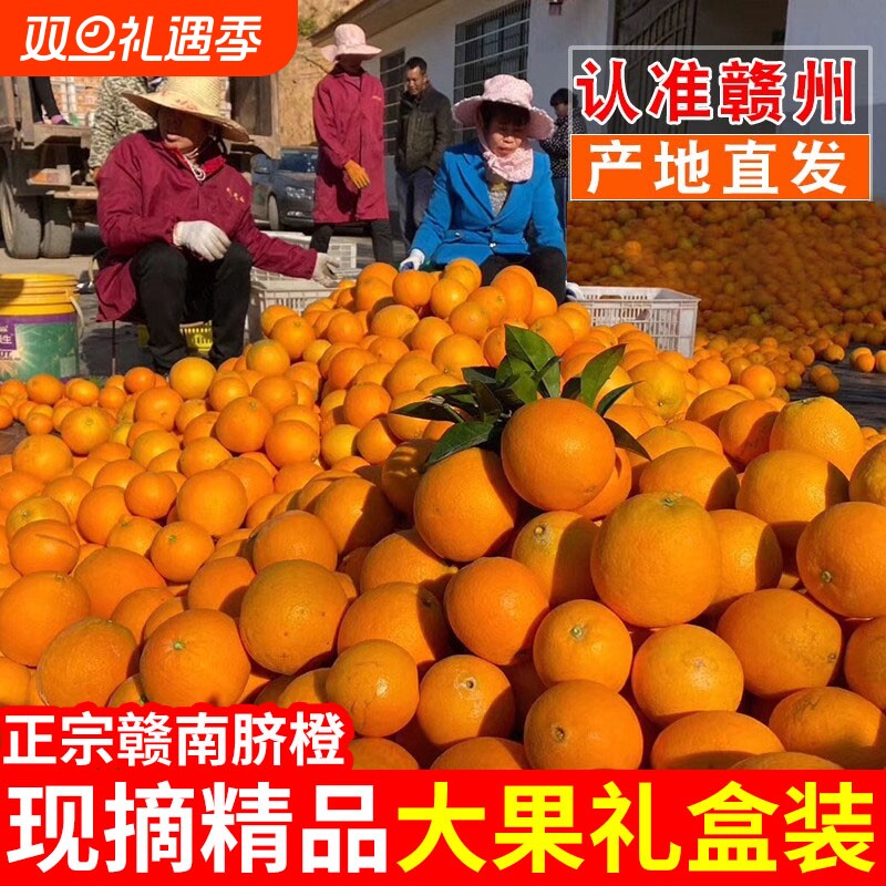 正宗赣南脐橙江西赣州脐橙新鲜橙子特级大果农场直发孕妇手剥橙