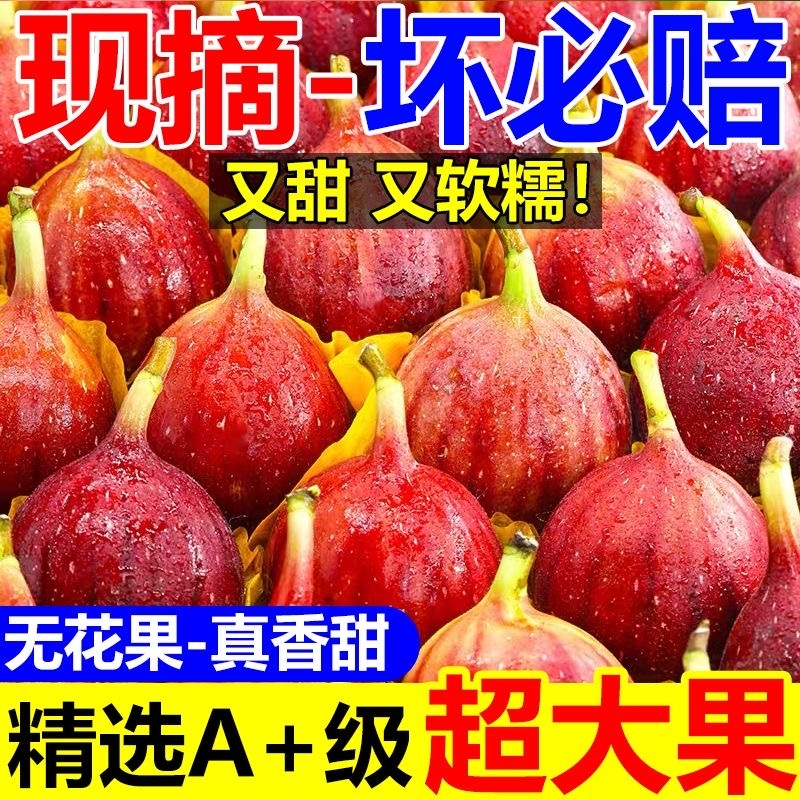 正宗云南红皮无花果鲜果