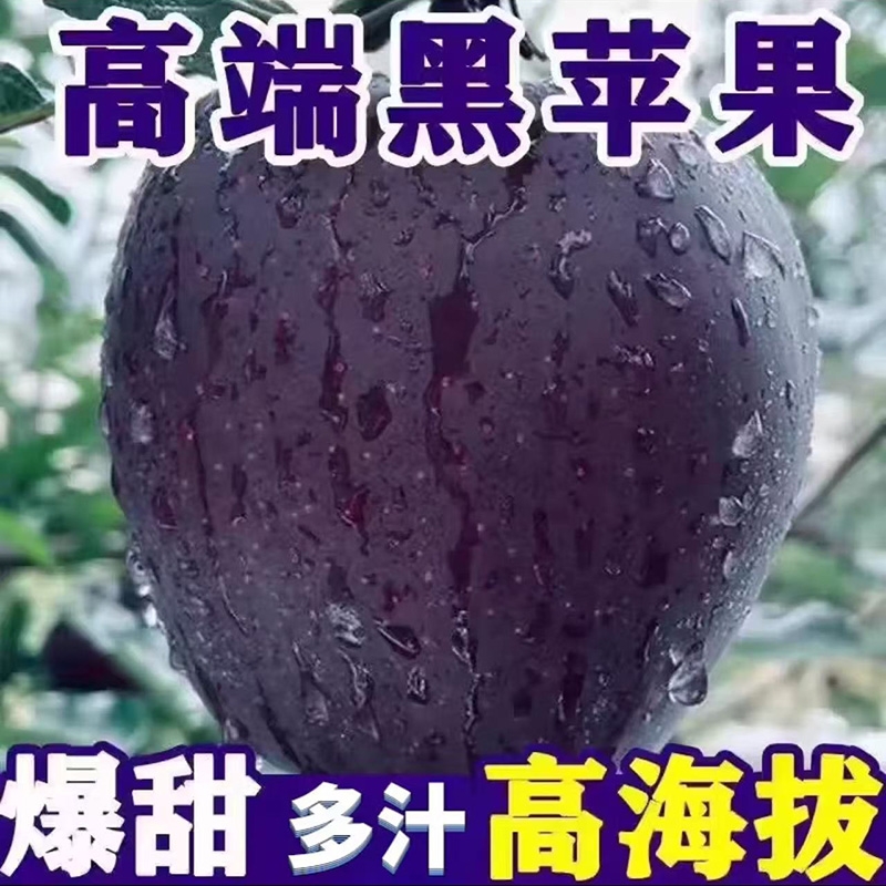 顺丰可选黑卡苹果黑钻纯甜孕妇小孩苹水果脆甜新鲜鲜甜多汁稀有