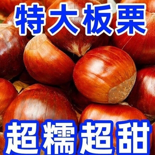 头茬现摘丹东板栗*5斤