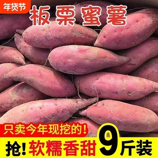 现挖龙九蜜薯地瓜红薯新鲜红心板栗自种山芋番薯西瓜香甜年货节