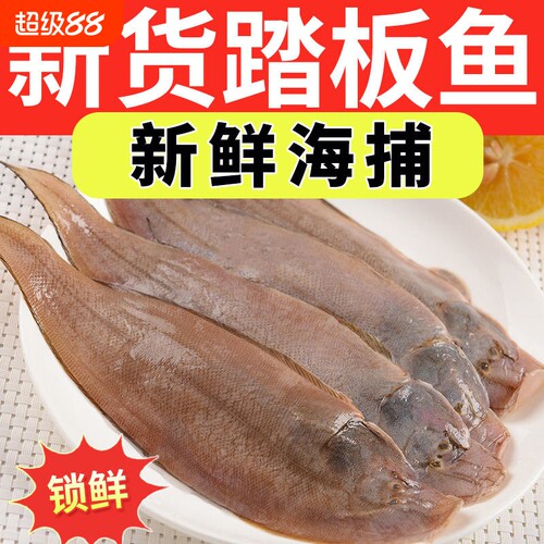海捕龙利鱼小舌头鱼新鲜踏板鱼带皮冷冻海鱼海鲜生鲜商用批鱼片