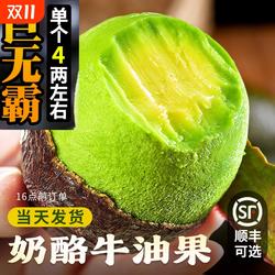 新鲜秘鲁牛油果进口哈斯鳄梨即食宝宝辅食流油山姆树熟大果顺丰