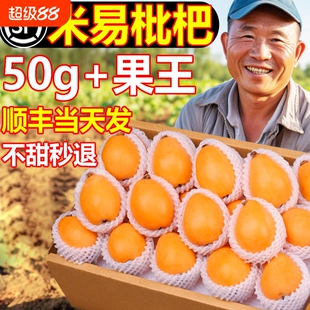 四川攀枝花米易枇杷新鲜水果早钟批把礼盒现摘现发当季整箱大五星