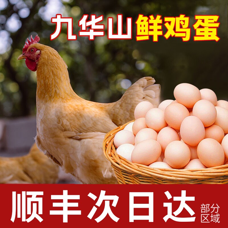 顺丰包邮正宗九华山鸡蛋100枚整箱批发农家新鲜鸡蛋次日配送