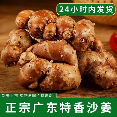 正宗现挖沙姜新鲜批发