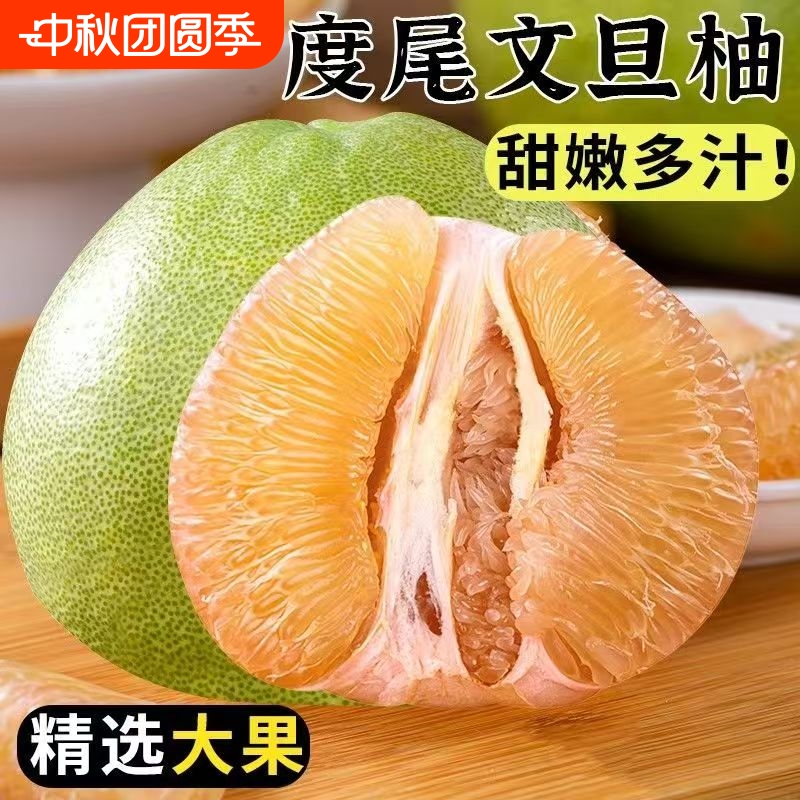 福建度尾红心文旦柚直发当季新鲜红心柚水果30年现摘现发蜜柚鲜果
