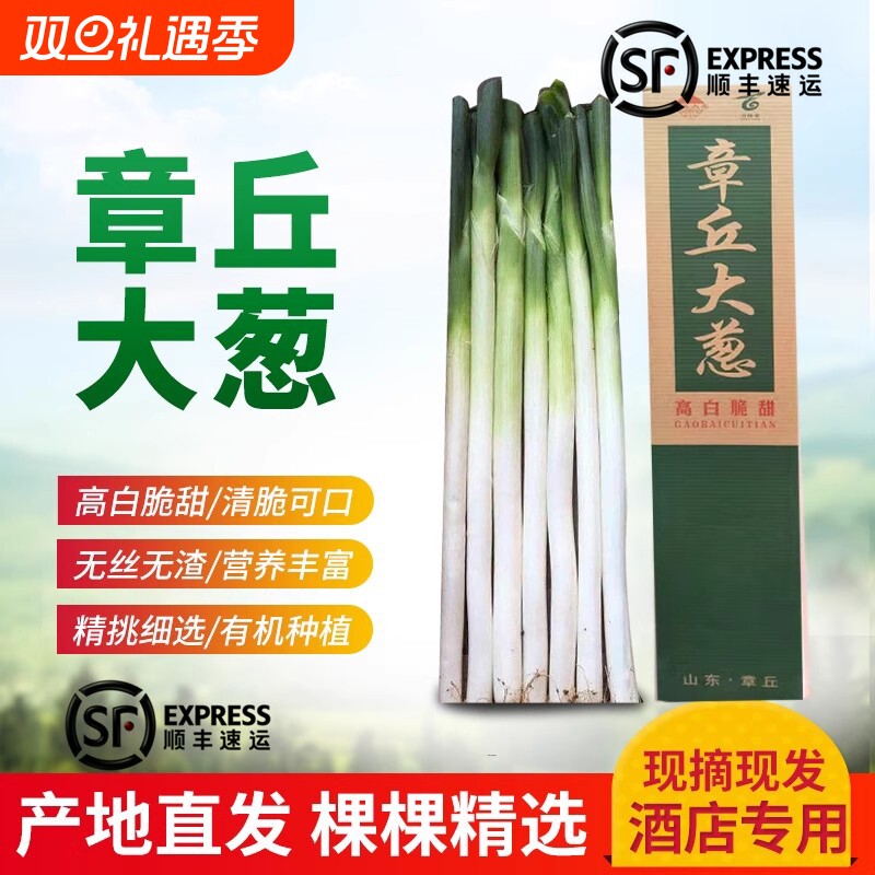 山东铁杆大葱多汁清甜微辣