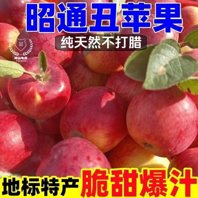 昭通脆甜苹果一箱购|千人加购