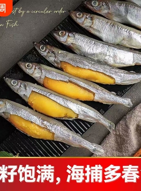 满籽新鲜多春鱼籽鱼冷冻海鲜水产鲜活海鱼烧烤食材生鲜批发带籽