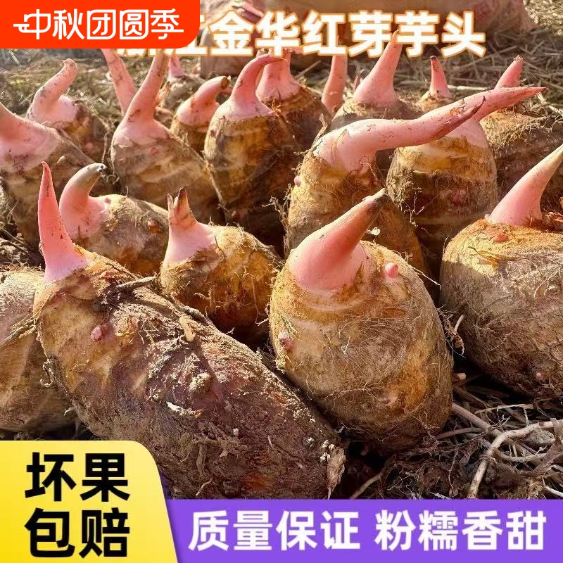 山东牛奶芋头新鲜毛软糯香滑