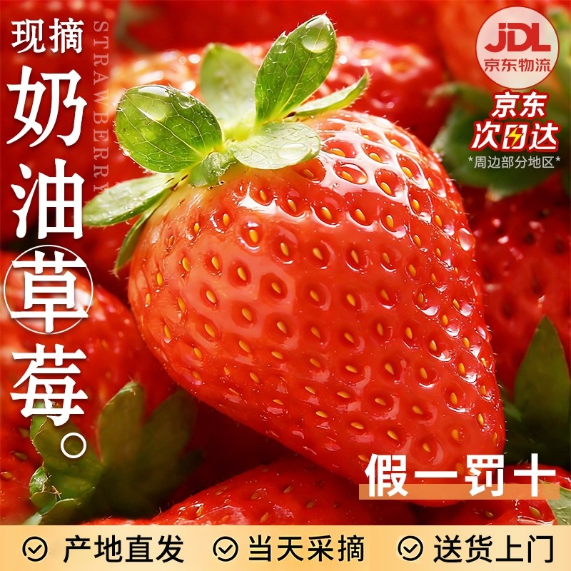 红颜奶油草莓正宗99丹东牛奶大奶油新鲜水果礼盒当季整箱包邮京东,水产肉类/新鲜蔬果/熟食,草莓,淘宝优惠券,粉丝福利购,淘宝优惠卷