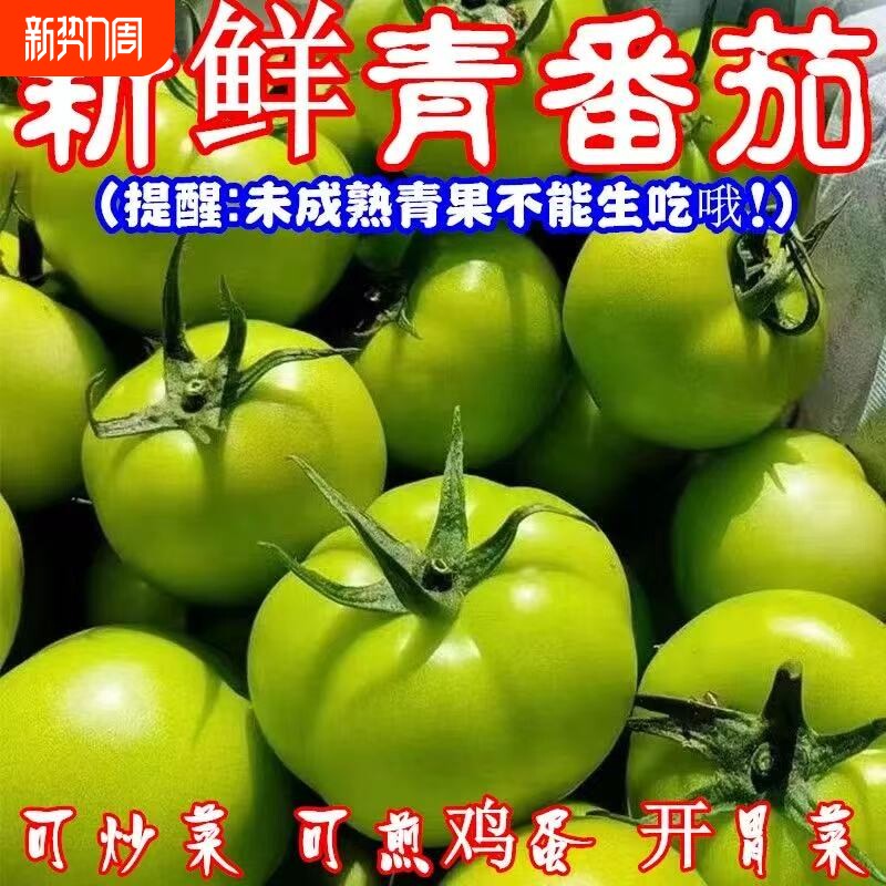 青番茄山西特产青西红柿新鲜现摘当季农家蔬菜农家菜自种直发
