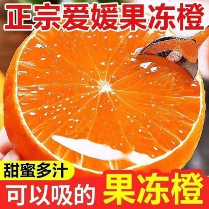 爱媛38号果冻橙新鲜橙子水果应季冰糖橙现摘甜柑橘大果9斤整箱