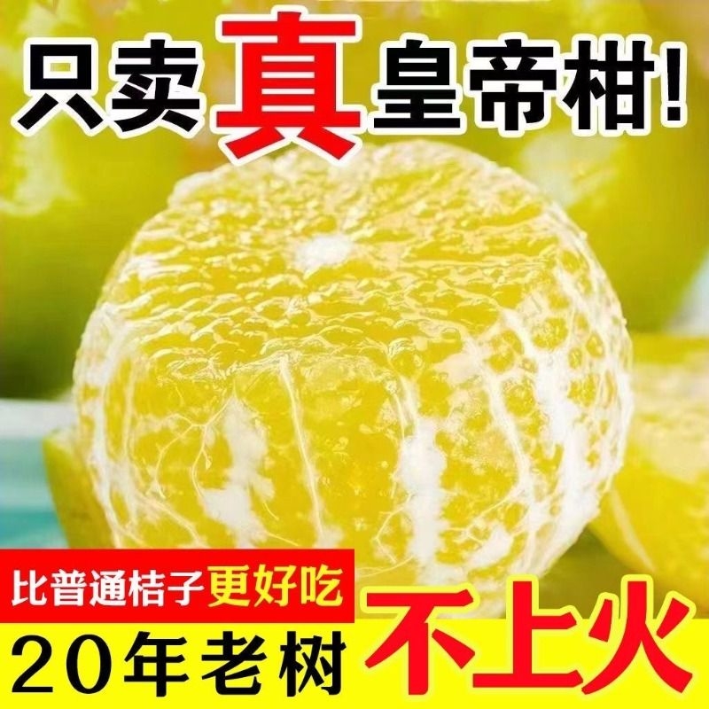 【现摘】广西皇帝柑新鲜贡柑当季新鲜水果柑橘桔子沃柑蜜桔砂糖橘