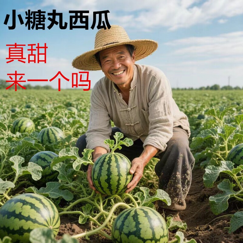 新鲜当季水果小西瓜小糖丸手撕应季2K整箱包邮时令放心吃早春红玉