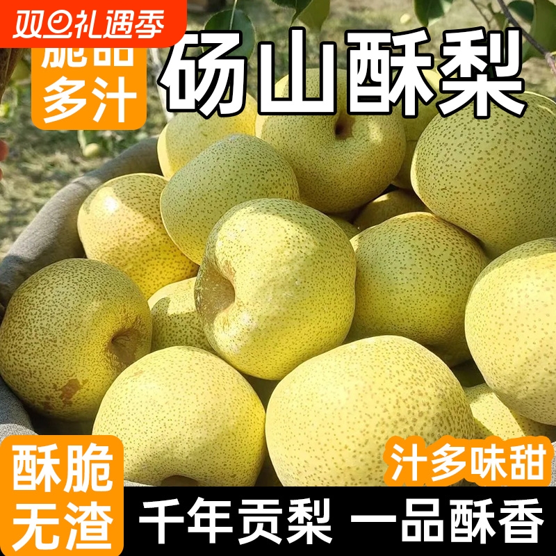 产地直发冰糖酥梨皮薄多汁核小肉质细腻无渣清甜润燥家庭分享装