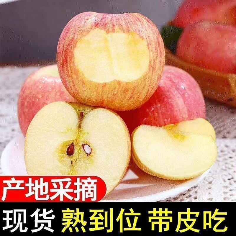 正宗陕西红富士苹果当季应季新鲜水果脆甜冰糖心丑苹果批发一整箱