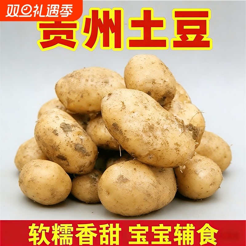 贵州高山黄心洋芋黄皮黄心土豆农家肥高山种植软面香甜粉糯马铃薯