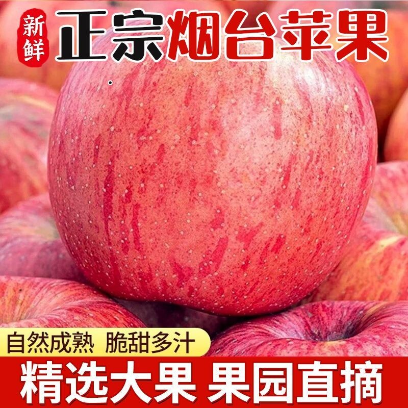 正宗山东烟台红富士苹果脆甜栖霞新鲜水果应季新鲜带箱9斤包邮
