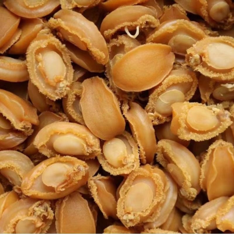 大鲍鱼干佛跳墙原材料特级大连海鲜干货煲炖汤即食鲜活小批发商用