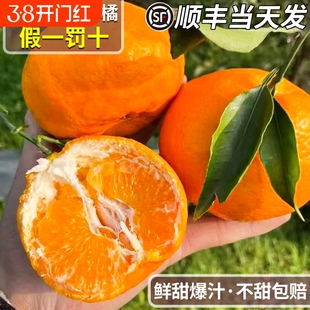 顺丰正宗四川甘平柑橘皇后新鲜水果现摘耙耙柑粑粑礼盒装优选爆汁