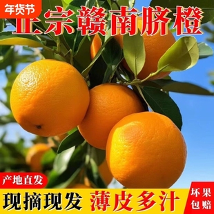 正宗江西赣南脐橙新鲜橙子甜橙水果鲜橙包邮年货节