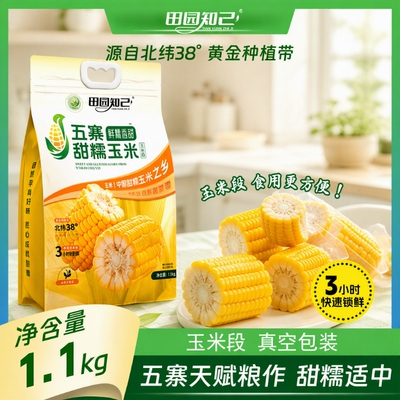 田园知己甜糯玉米量贩装非转基因