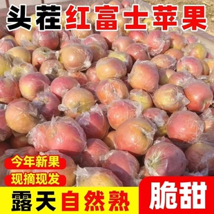 正宗冰糖心苹果红富士脆甜当季 水果新鲜孕妇直发冰糖批发整箱现摘