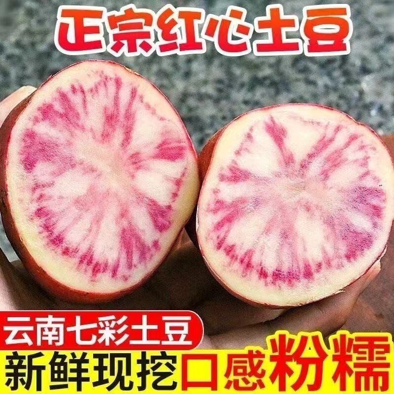 云南特产大理花心洋芋七彩土豆紫五花马铃薯红皮红心农家自种现挖
