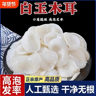 长白山特级白玉耳小碗木耳东北特产非野生白银耳干货无硫凉拌炒菜